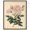 Black Frame, variant on French Rose Canvas Vintage Botanical by Art Remedy, Black Frame, 24 x 30