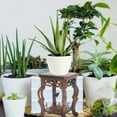 thumbnail image 4 of Reusable Flowerpot Holder Plant Shelf Indoor Vase Home Decoration Wood Base Wooden Office, 4 of 6