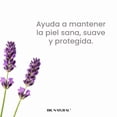 thumbnail image 3 of Dr. Natural Crema Corporal con Aceite de Lavanda con Manteca de Karité Orgánica. 100% Natural. Hecha de Plantas y Aceites Naturales. 473 ml. Ultra Hidratante e Hipoalergénica., 3 of 7