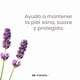 thumbnail image 3 of Dr. Natural Crema Corporal con Aceite de Lavanda con Manteca de Karité Orgánica. 100% Natural. Hecha de Plantas y Aceites Naturales. 473 ml. Ultra Hidratante e Hipoalergénica., 3 of 7