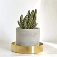 thumbnail image 3 of 4X Round Gold Tray,Metal Decorative Tray Makeup Tray Organizer for Vanity,Bathroom,Dress,Matte Brass Finish, 4.9 Inch, 3 of 3