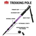 thumbnail image 6 of Crown Sporting Goods Shock-Resistant Adjustable Trekking Pole and Hiking Staff Multi-Colored, 6 of 8