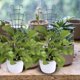 thumbnail image 4 of 2 Piezas De Plástico Para Jardín Diy, Mini Soportes Superpuestos Para Macetas, Enrejados De Jardín Para Enredaderas, 4 of 7