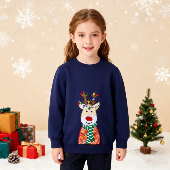 Boys Sweatshirts Kids Reindeer Embroidery Crew Neck Sweatshirt Long Sleeve Hoodless Top Multicolour 3-4 Years