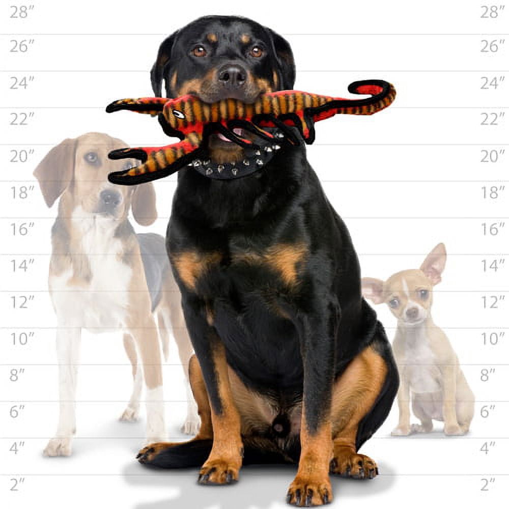 TUFFY® Desert Scorpion, 2-Pack Durable Dog Toys