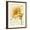 Brown Frame, variant on Art.com Under the Sun II Art Print by Lisa Audit, 12" x 16"