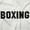 White, variant on Boxing Cardio Boxer Workout Gym Plus Size Crewneck Graphic Tee Shirt Brisco Brands 3X