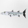 thumbnail image 2 of CafePress - Great Barracuda Fish - Adjustable Unisex Printed Trucker Hat with Mesh Back, 2 of 8