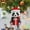 B, variant on Panda with Santa Hat Christmas Ornaments 2D Acrylic Cute Cartoon Xmas Tree Hanging Decorations for Holiday Party New Year Supplies Home Decor and Panda Lover Gifts, 1PC