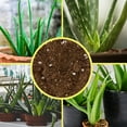 Aloe Vera Potting Soil Mix (2 Quarts), Custom Blend for Aloe Vera