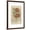 Brown Frame, variant on Art.com Floral Pattern Study I Art Print by Ethan Harper, 12" x 18"