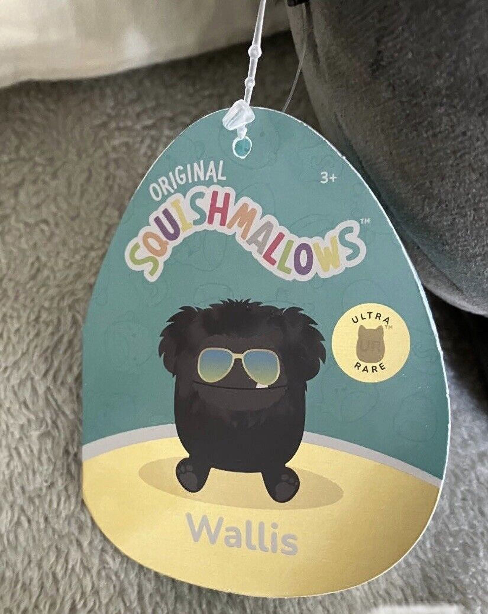 Squishmallows Wallis the Bigfoot Stuffed Animals and Plush Toys, Black