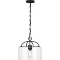 thumbnail image 5 of Leyden Collection One-Light Brushed Nickel and Clear Glass Farmhouse Style Hanging Pendant Light, 5 of 7