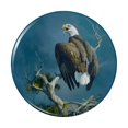 thumbnail image 1 of Bald Eagle Nest Raptor Pinback Button Pin, 1 of 5