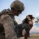 thumbnail image 5 of Arnés táctico para perros grandes, arnés para perros resistente con asa, chaleco para perros de servicio sin tirones de raza grande, militar ajustable, 5 of 5