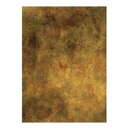 UPC: 0731409250597 | 10×20  Infinity Hand Painted Muslin Background (Verona)