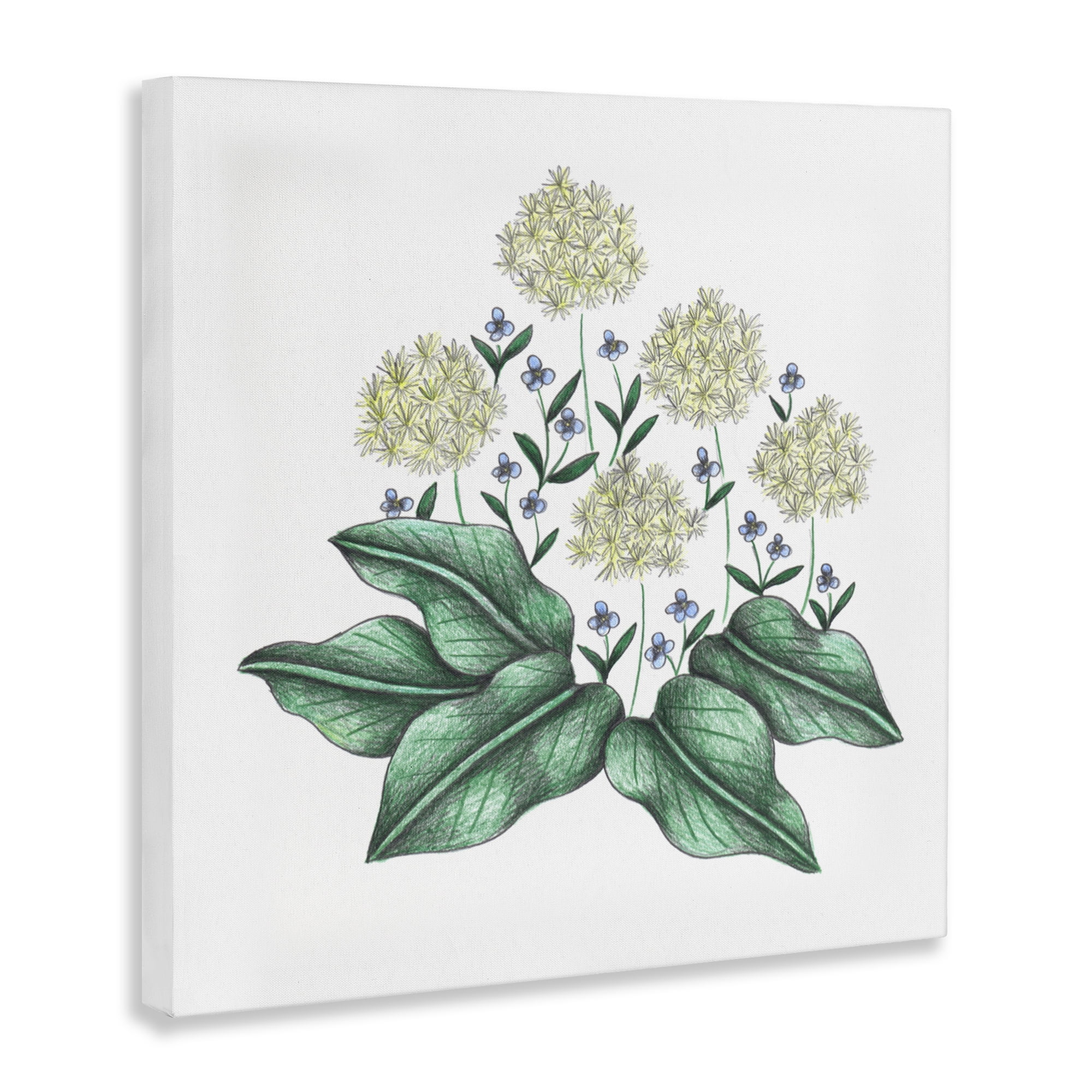 Hello Wildflower Vintage Sketch Canvas Wall Art, design by Cecilia Battaini