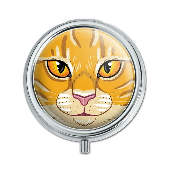 Orange Tabby Cat Face Pet Kitty Pill Box