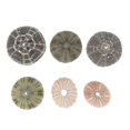 thumbnail image 3 of 6pcs Sea Urchin Decor Air Plant Pot Sea Urchin Tabletop Decor Fish Tank Decors, 3 of 4