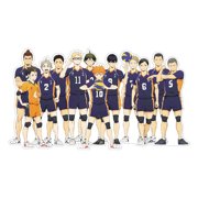 Cyan oak Haikyuu!! Stickers Wall Waterproof Vinyl Stickers Anime High School Volleyball Stickers for Kids Teens Adults for Water Bottles Laptop Phone