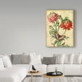 thumbnail image 3 of Trademark Fine Art 'French Florals 3' Canvas Art by Jean Plout, 3 of 3