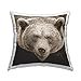thumbnail image 3 of Stupell Industries Gros Plan Ours Faune Design par Lil' Rue Coussin, 18 x 18, Marron, 3 of 4
