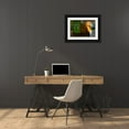 thumbnail image 3 of Abreu, Pablo 18x13 Black Ornate Wood Framed with Double Matting Museum Art Print Titled - Untitled, 3 of 4