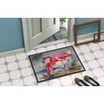 thumbnail image 4 of Carolines Treasures DAC2864MAT 18 x 27 in. Unisex Flamingo Doormat, 4 of 5