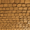 thumbnail image 1 of Ahgly Company Machine Washable Indoor Square Transitional Mahogany Brown Area Rugs, 6' Square, 1 of 7