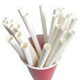 thumbnail image 3 of ZEIDO 100 Pack Paper Straws White Biodegradable co-Friendly Drinking Bulk for Party Supplies, Bridal/Baby Shower, Birthday, Mixed Drinks, Weddings, Restaurant, Food Service(Wide 0.5inch), 3 of 8