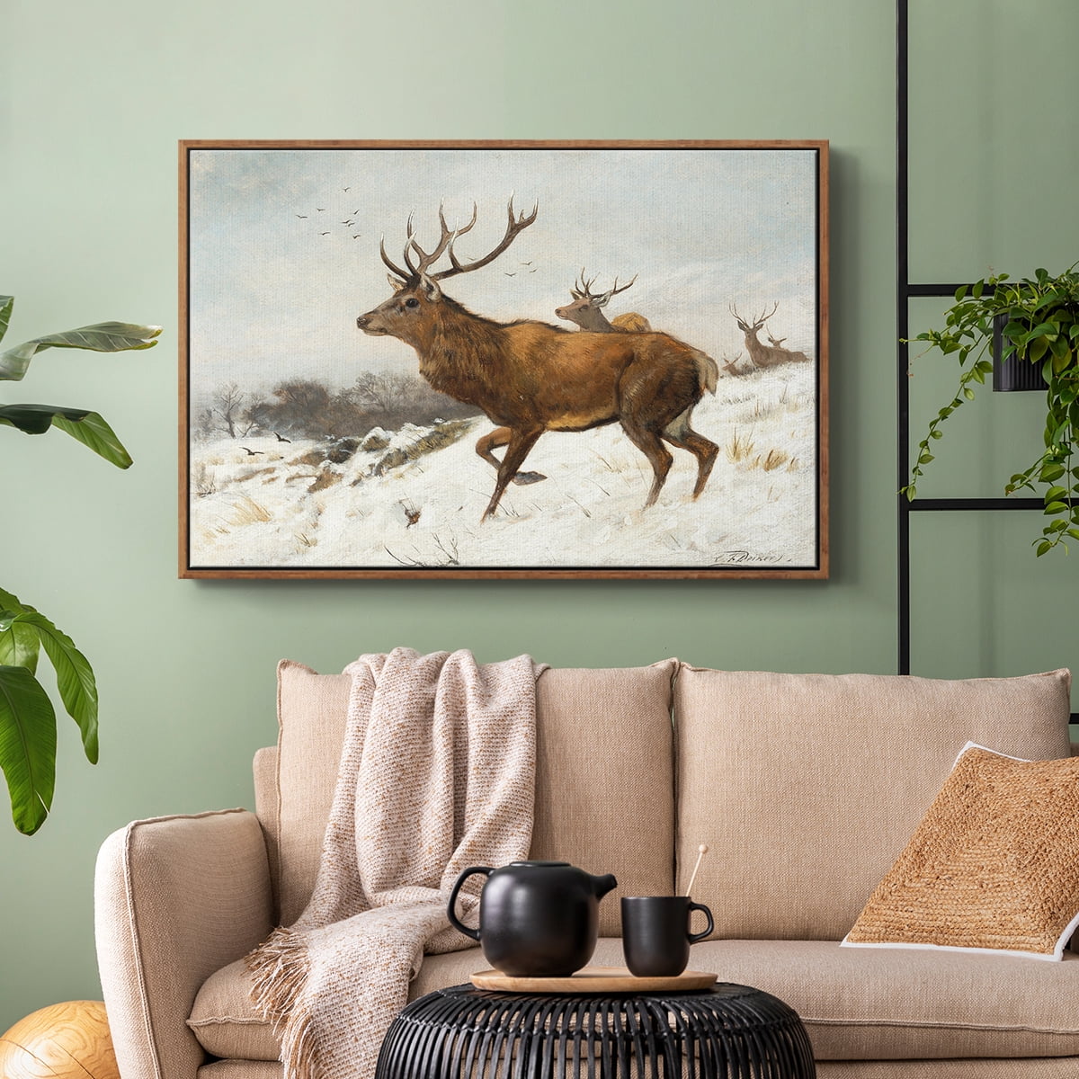 Vintage Animal Print-V By Wexford Home Framed in Walnut Wood Gallery Wrapped Canvas 17 in. x 25 in.