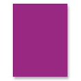 thumbnail image 5 of STRATHMORE / PACON PAPERS 67331 SPECTRA ARTKRAFT DUO FINISH ROLL PURPLE 36X1000, 5 of 5