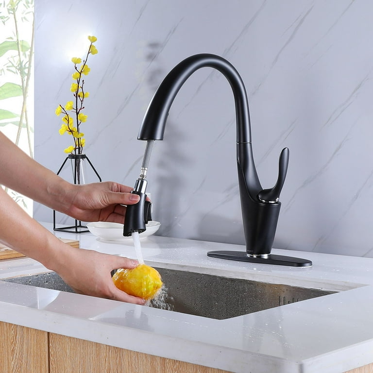 Single Handle Matte Black Kitchen Faucet,Single Level Stainless Steel  Kitchen Sink Faucets