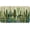 Cactus, variant on Safarsa Welcome Mats Outdoor Cactus Green Door Mat 36" x 24" Non-Slip Washable Mats Indoor Entrance Front Doormat