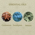 thumbnail image 3 of Caldrea Linen And Room Spray Air Freshener, Made With Essential Oils, Plant-Derived And Other Thoughtfully Chosen Ingredients, Gilded Balsam Birch, 16 Oz, 3 of 10