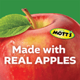 thumbnail image 6 of Mott's No Sugar Added Applesauce Variety Pack, 3.2 oz, 48 Count Clear Pouches (4 Packs of 12), 6 of 14