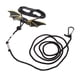 thumbnail image 4 of 1pcs Pet Reptile Gecko Bearded Dragon Leash para reptiles de / M / Negro + dorado-m Gloria Correa de reptil lagarto, 4 of 9