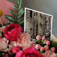 thumbnail image 3 of 3drose, Italy, Florence. the Duomo, the Campanile, and the Baptistry, 6 Greeting Cards with Envelopes, 3 of 7
