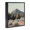 thumbnail image 3 of Stupell Industries Tucson Mountain Landscape Black Framed Giclee Art, design by Petal Prints Design, 3 of 8