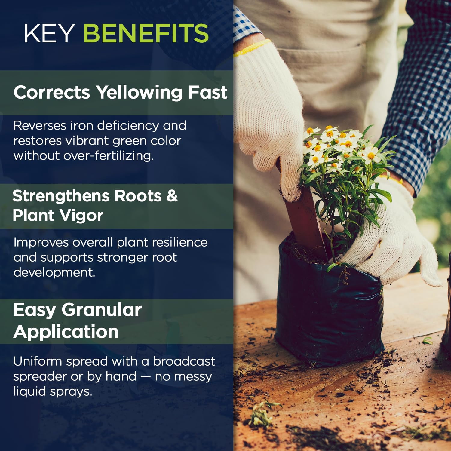 Supply Solutions IronMaxx Granular Fertilizer - All Purpose Plant Food with Iron and Sulfur, Slow Release Garden Fertilizer for Lawn, Vegetables, Flowers & Trees, Outdoor Plant Fertilizer (10 Pounds)
