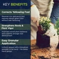 thumbnail image 4 of Supply Solutions IronMaxx Granular Fertilizer - All Purpose Plant Food with Iron and Sulfur, Slow Release Garden Fertilizer for Lawn, Vegetables, Flowers & Trees, Outdoor Plant Fertilizer (10 Pounds), 4 of 7