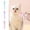 All Three Colors, variant on 3 Pcs Cat Treat Spoon, Cat Strip Feeder, Cute Cat Strip Squeeze Happy Spoon, Multifunctional Pet Treat Dispenser for Cat Lickable Wet Food Liquid Snack Puree Feeding Supplies
