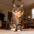 thumbnail image 5 of Plush Ball Toy, Soft And Lightweight, Keeps Pet Entertained And Entertained.,Pet Toys for Self Play,Gifts for Pets and Pet Lovers(A), 5 of 5
