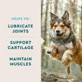 thumbnail image 6 of VetIQ Glucosamine Hip & Joint Supplement for Dogs, 180 Chicken Flavored Soft Chews, 6 of 7