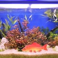 thumbnail image 2 of 2pcs Simulation Fish Model PU Fish Model Simulation Animal Educational Model Artificial Fish Model, 2 of 9