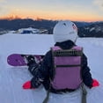 thumbnail image 1 of DYNWAVECA Adjustable Snowboard Harness, Ski Traction Rope for Skateboarding, Skating, Beginners, Kids Violet, 1 of 10