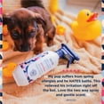 thumbnail image 2 of Pet Life Unlimited Anti-Itch Dog Shampoo with Two-Way Spray, Honey Oat Blossom, 16oz, 2 of 12