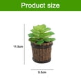 thumbnail image 2 of Plantas en macetas suculentas de simulación, barriles de madera, macetas de cemento, flores falsas, adornos creativos, plantas verdes artificiales, 2 uds., 2 of 5
