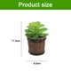 thumbnail image 2 of Plantas en macetas suculentas de simulación, barriles de madera, macetas de cemento, flores falsas, adornos creativos, plantas verdes artificiales, 2 uds., 2 of 5