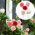 thumbnail image 2 of JeashCHAT 5 Pcs Rose Flower Garden Stakes with Sticks, Artificial Flowers Rose Outdoor Patio Yard Lawn Flower Pots Stakes Garden Decorations, 2 of 8